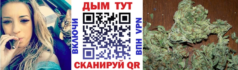Каннабис Amnesia  Камышин 